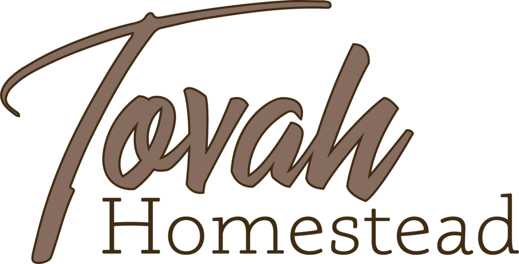 tovah homestead wordmark logo full color